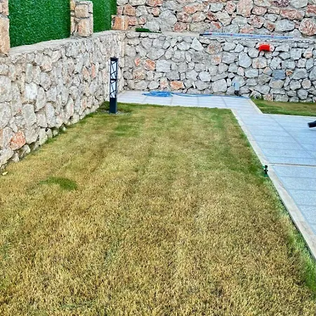 Defne